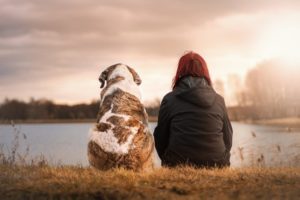 dog and human